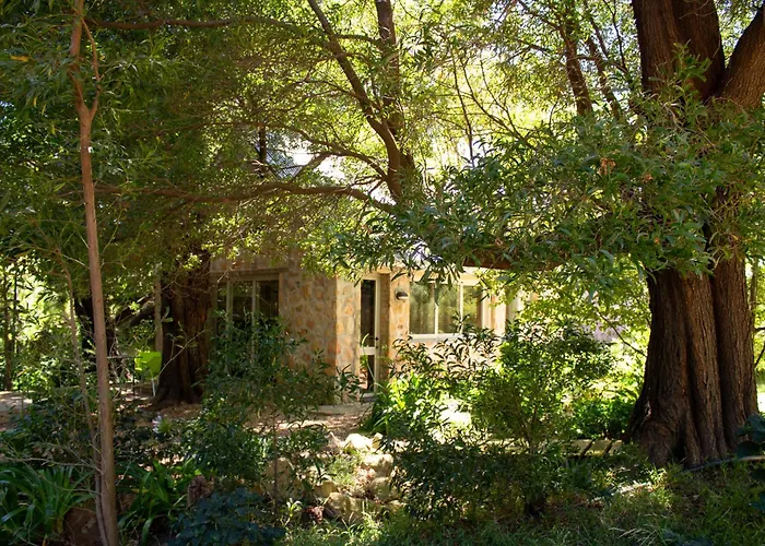 Umami Mountain Retreat