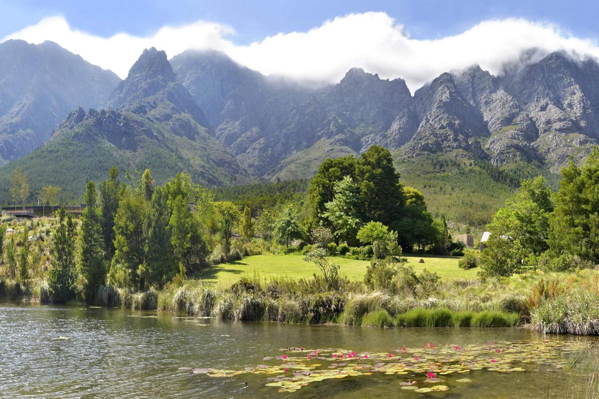 Umami Mountain Retreat * Franschhoek