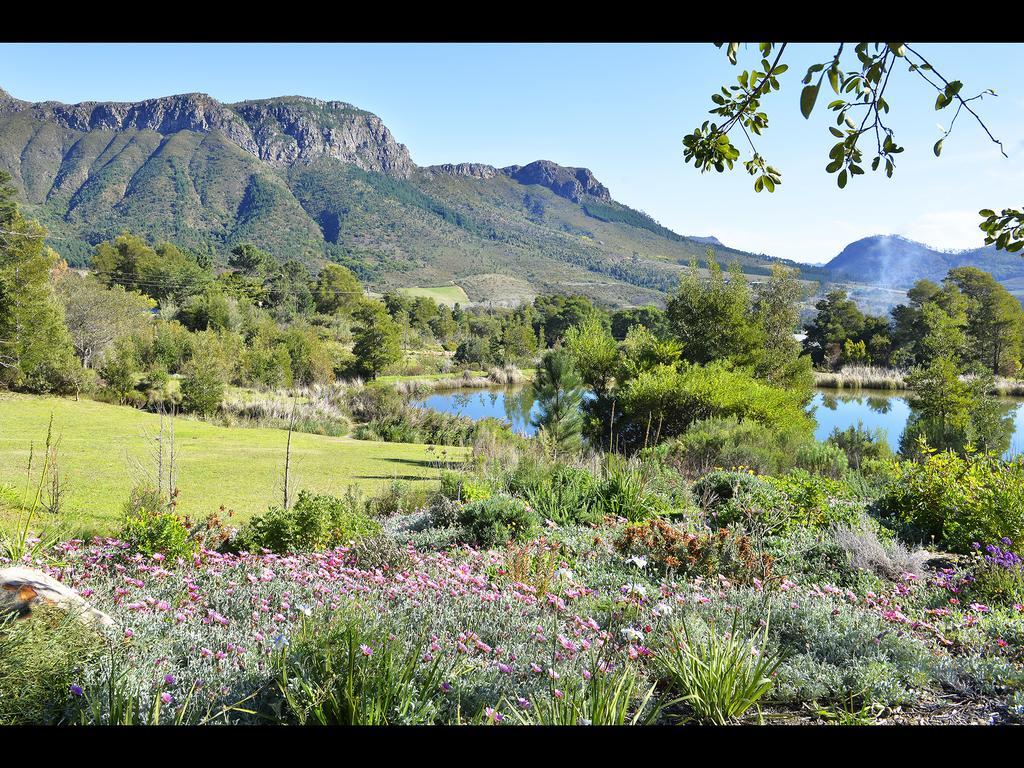 Villa Umami Mountain Retreat Franschhoek
