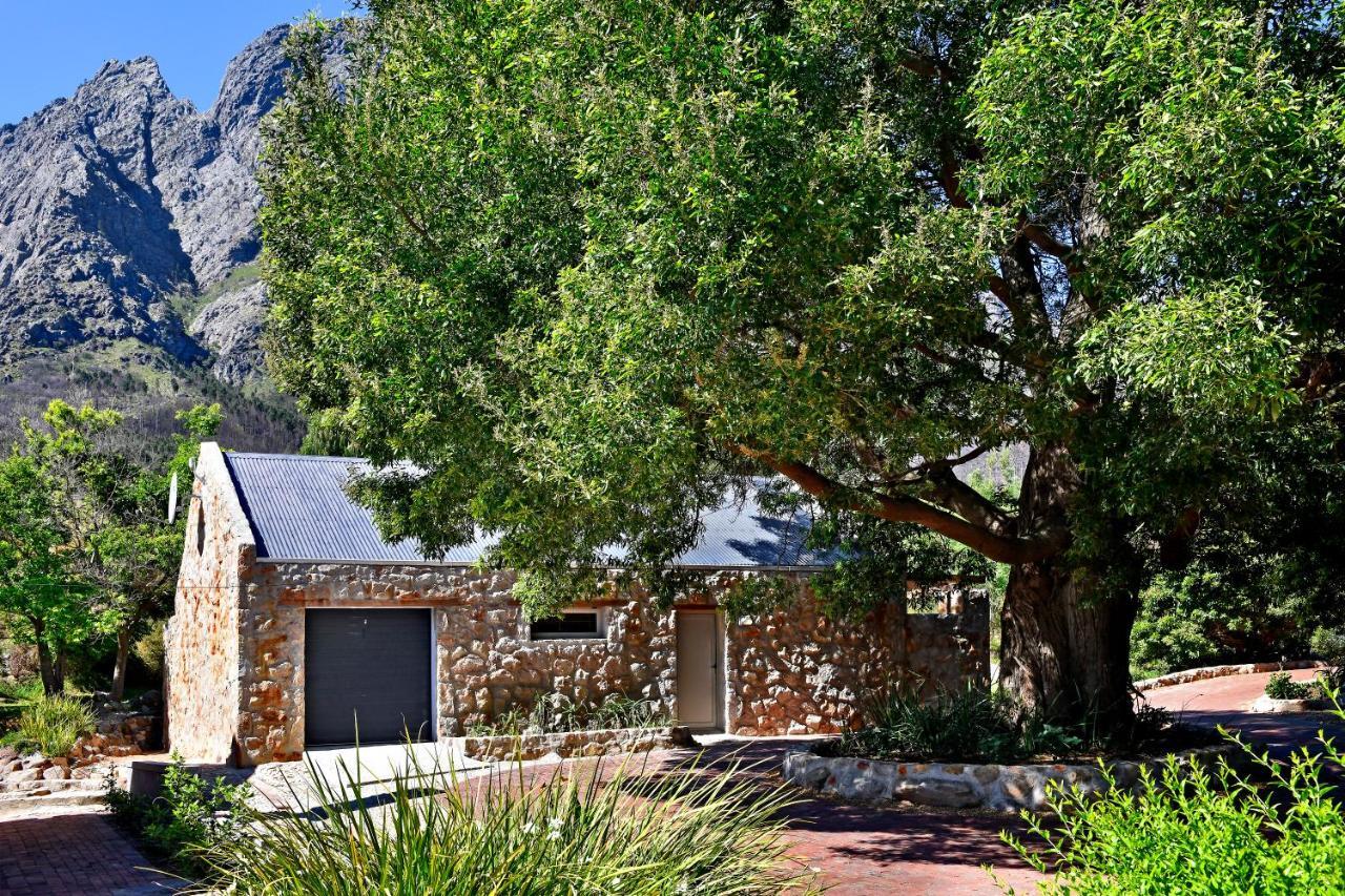 Umami Mountain Retreat * Franschhoek